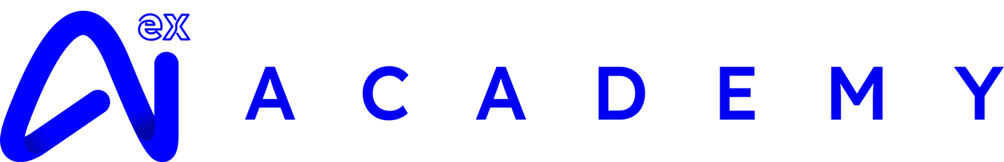 AI Academy Logo